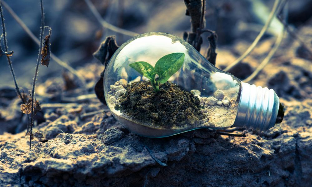Economia Circular Funciona? Alternativa Sustentável ou Caso de Greenwashing?