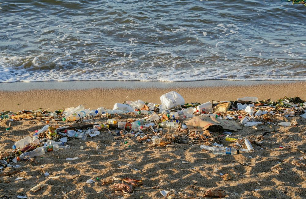 Praia com sinais de poluição e resíduos sólidos, representando os efeitos ambientais do turismo descontrolado.