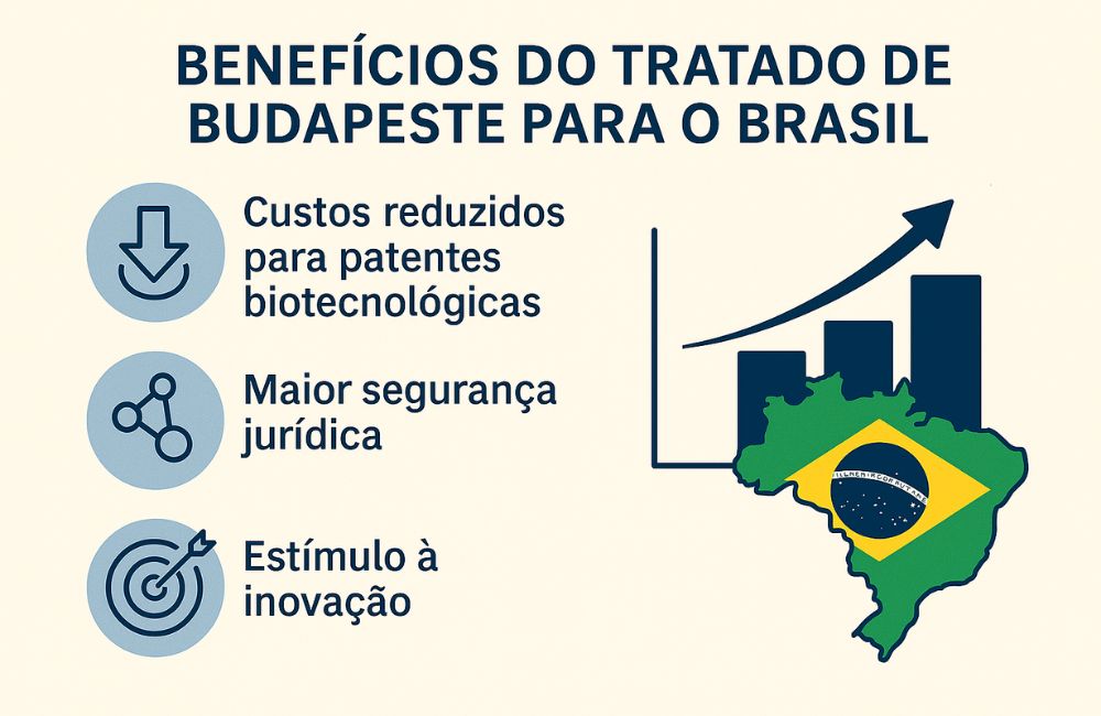 Gráfico sobre benefícios da carta de adesão ao Tratado de Budapeste para patentes biotecnológicas e inovação no Brasil
