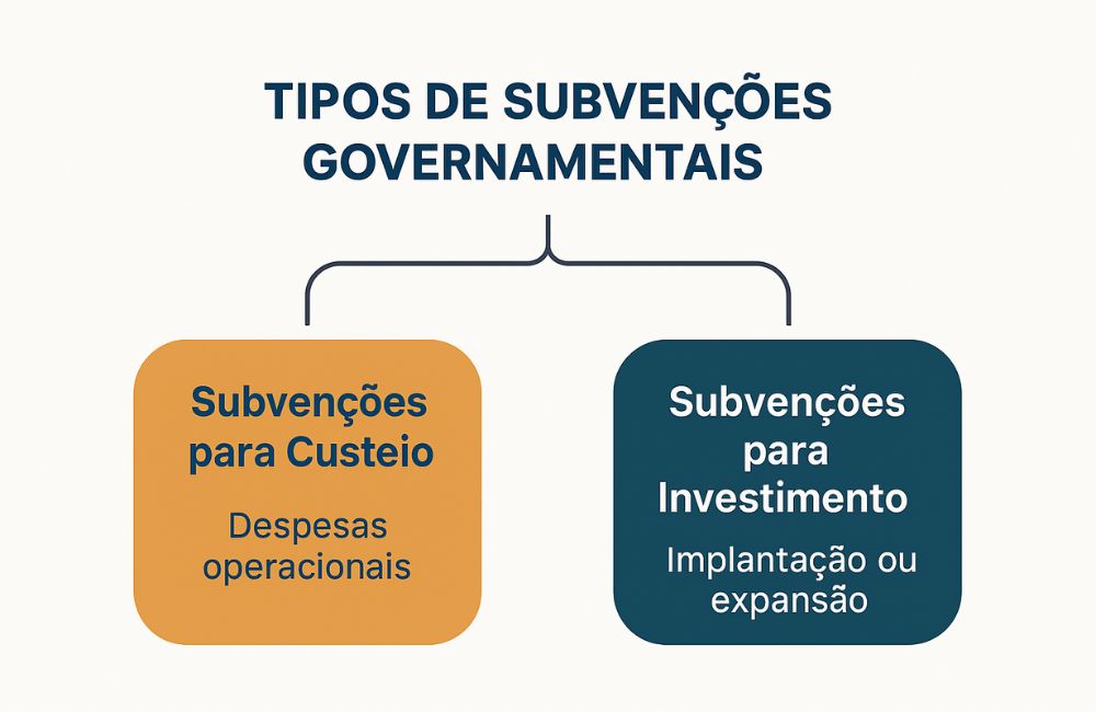 tipos_de_ subvenções_ governamentais Gráfico ilustrando os tipos de subvenções governamentais no Brasil, incluindo custeio e investimento, conforme legislação atual.